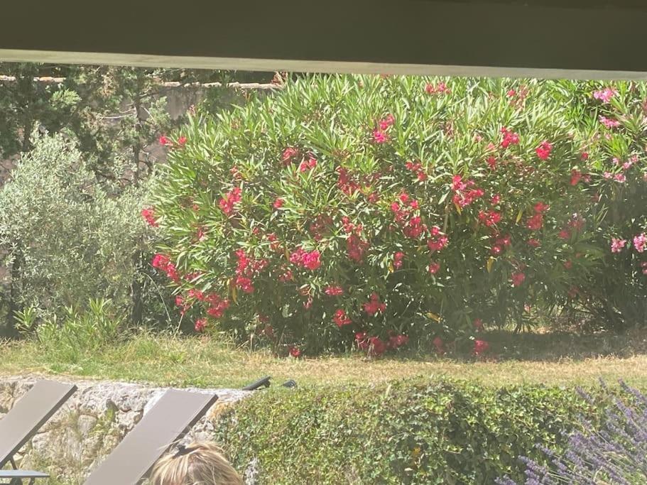 Ar De Vie Villa Chaleureuse En Provence Ventabren Bagian luar foto